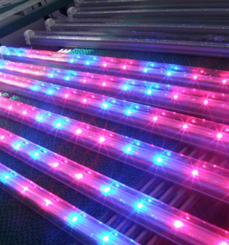 LED Grow Lights