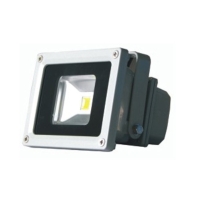 LED Floodlight