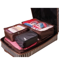 The traveler luggage organizer