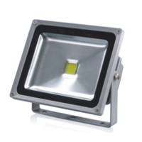 LED Flood Light