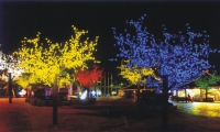 LED Tree Light