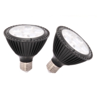 LED PAR Lamp