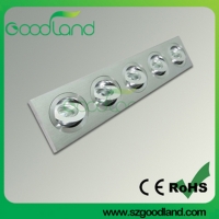 LED Down Light