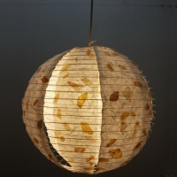 Paper Lantern