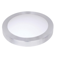 LED Ceiling Light