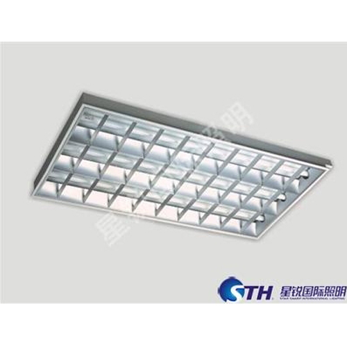 Ceiling Mount Fluorescent Light