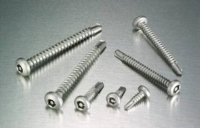 Security Screw