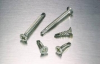 Window Screw