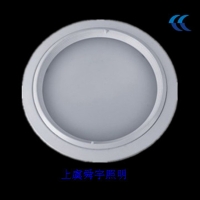 LED Downlight