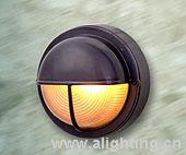 Outdoor Ceiling Lighting