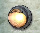 Outdoor Ceiling Lighting