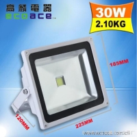 LED Flood Light