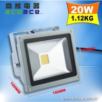 LED Flood Light