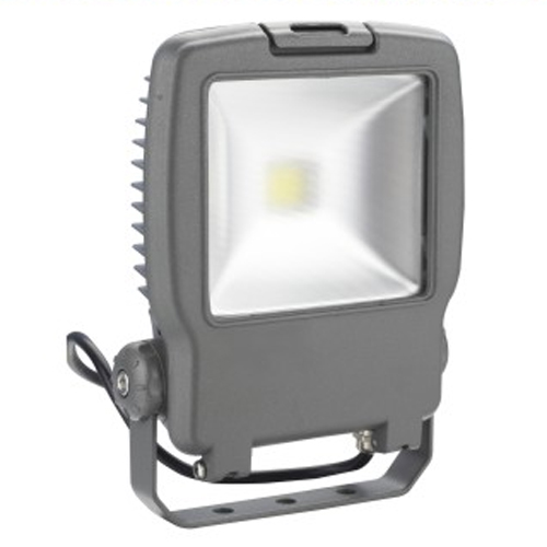 LED Flood Light