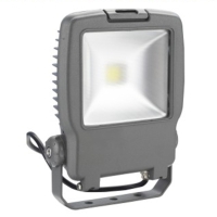 LED Flood Light