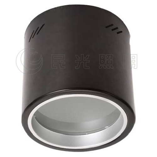 LED Downlight