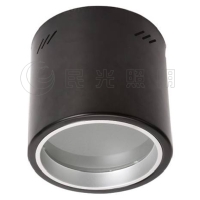 LED Downlight