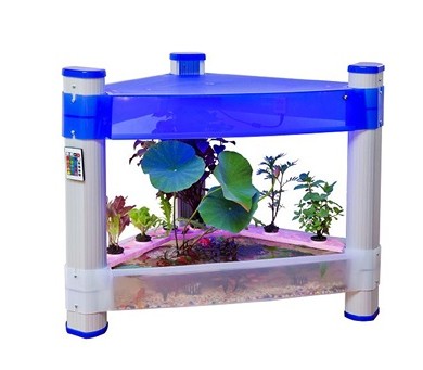 Hydroponic indoor garden lighted chamber