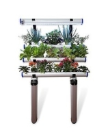 Wall mounted hydroponic indoor garden