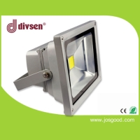 LED Flood Light