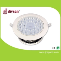 LED Ceiling Light