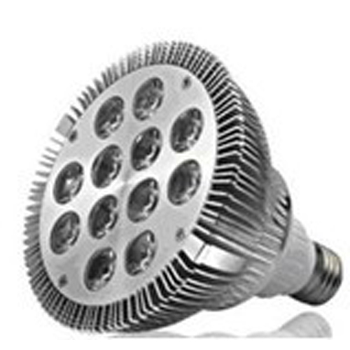 13W LED PAR38