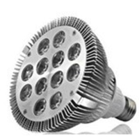 13W LED PAR38