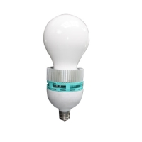 LED Bulbs