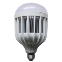 LED Bulbs