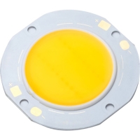 30W COB LED