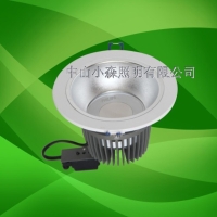 LED Downlight