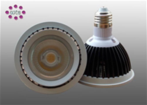 LED PAR Light