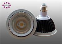 LED PAR Light