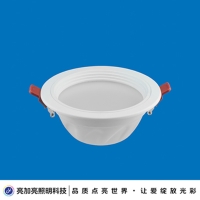 LED Downlight