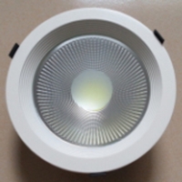 30W COB Downlight