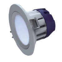 LED Downlights