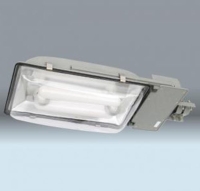 Induction Lamp