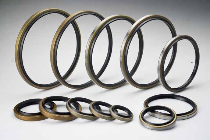 DKB Oil Seal