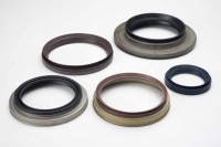 Oil Seal