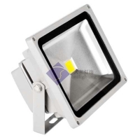 LED Flood Light