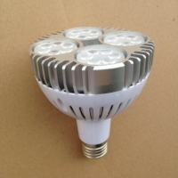 Osram 35W PAR30 Bulb 