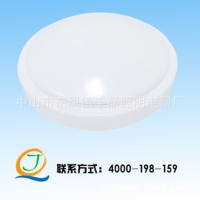 LED Ceiling-mounted Light (9W) 