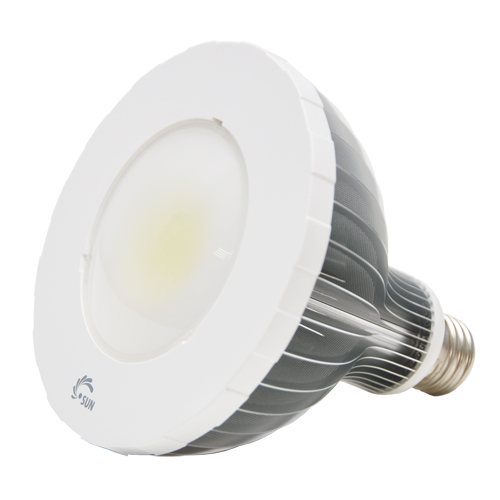 LED PAR Lamp