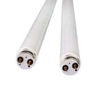 T8 Economic LED Tube