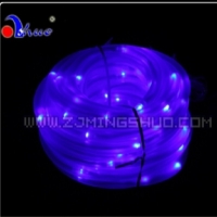 Solar Rope Light