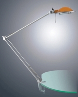 Halogen Desk Lamps