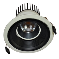 LED Canister Light