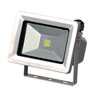 Solo Flood Light