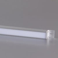 LED Linear Light