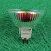 Eco Halogen Lamp 